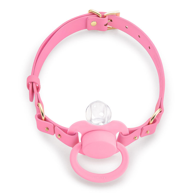 LittleForBig大人用おしゃぶり＆ギャグ2点セット【おしゃぶりチョーカー】調整可能なレザーストラップ 第2代おしゃぶり向け シリコンニップル DIY可能  GS001