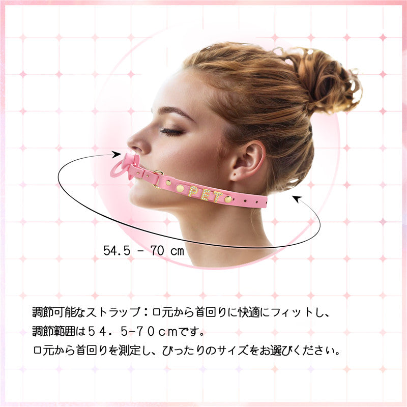 LittleForBig大人用おしゃぶり＆ギャグ2点セット【ペット·おしゃぶりチョーカー】付け替え可能な「PET」文字ボダン 調整可能 シリコンニップル DIY可能 ピンク GS002P-P